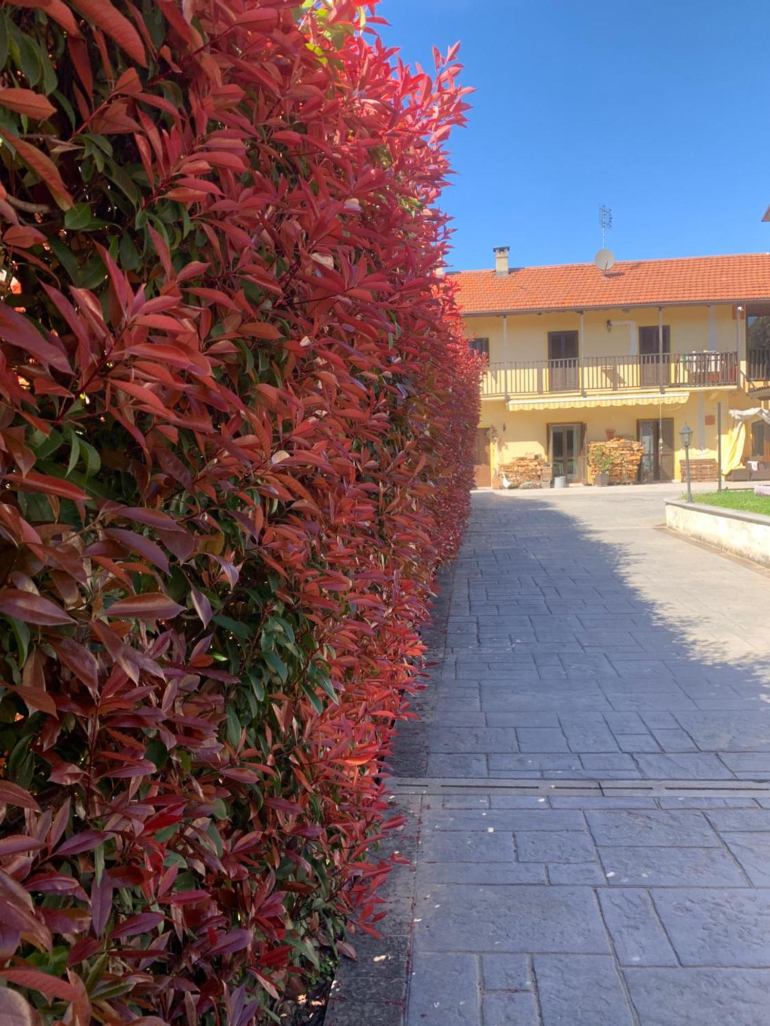 Casarte: Monolocale Terra Appartement Alpignano Buitenkant foto